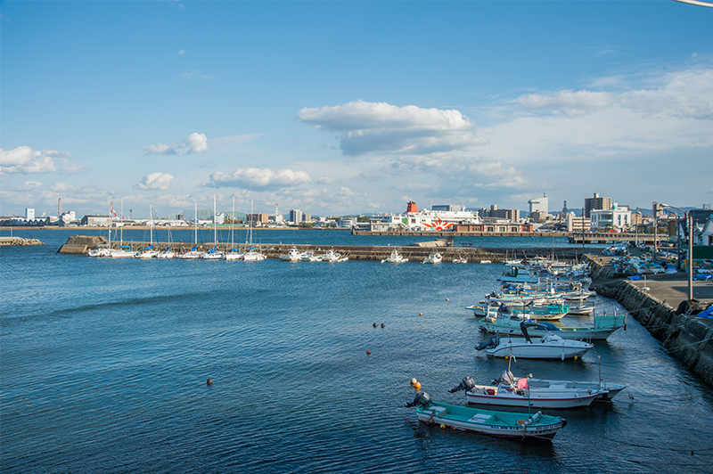 店内から見える海